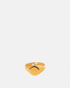 Stainless Steel Golden Ring Signet