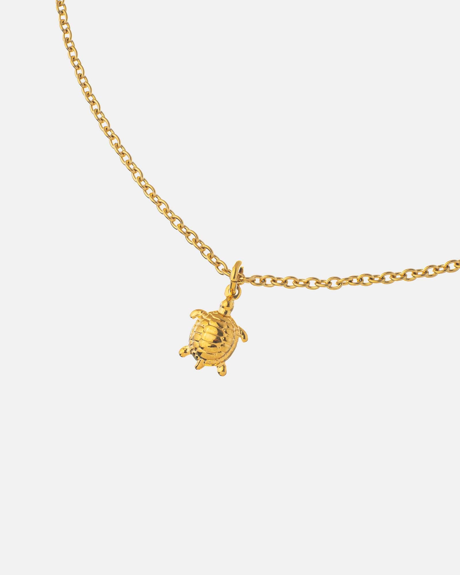 colar turtle de aço dourado